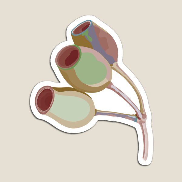 Australian Gumnut Pattern Magnet