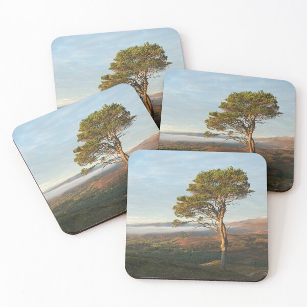 Item preview, Scots Pine designed and sold by Macrae images.