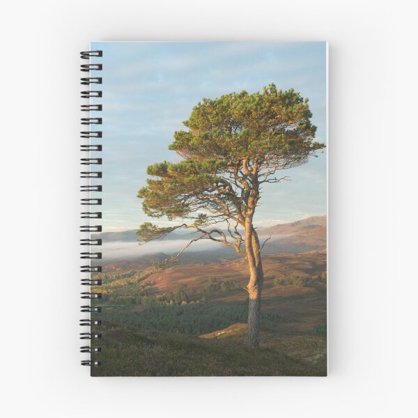 Item preview, Scots Pine designed and sold by Macrae images.