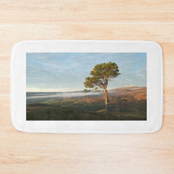 Item preview, Scots Pine designed and sold by Macrae images.