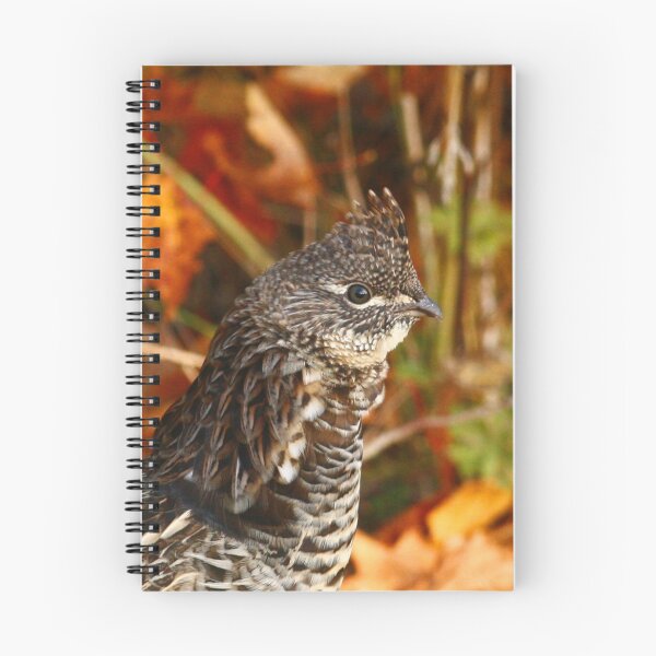 Item preview, Ruffed Grouse designed and sold by Enola Gay Wagner.