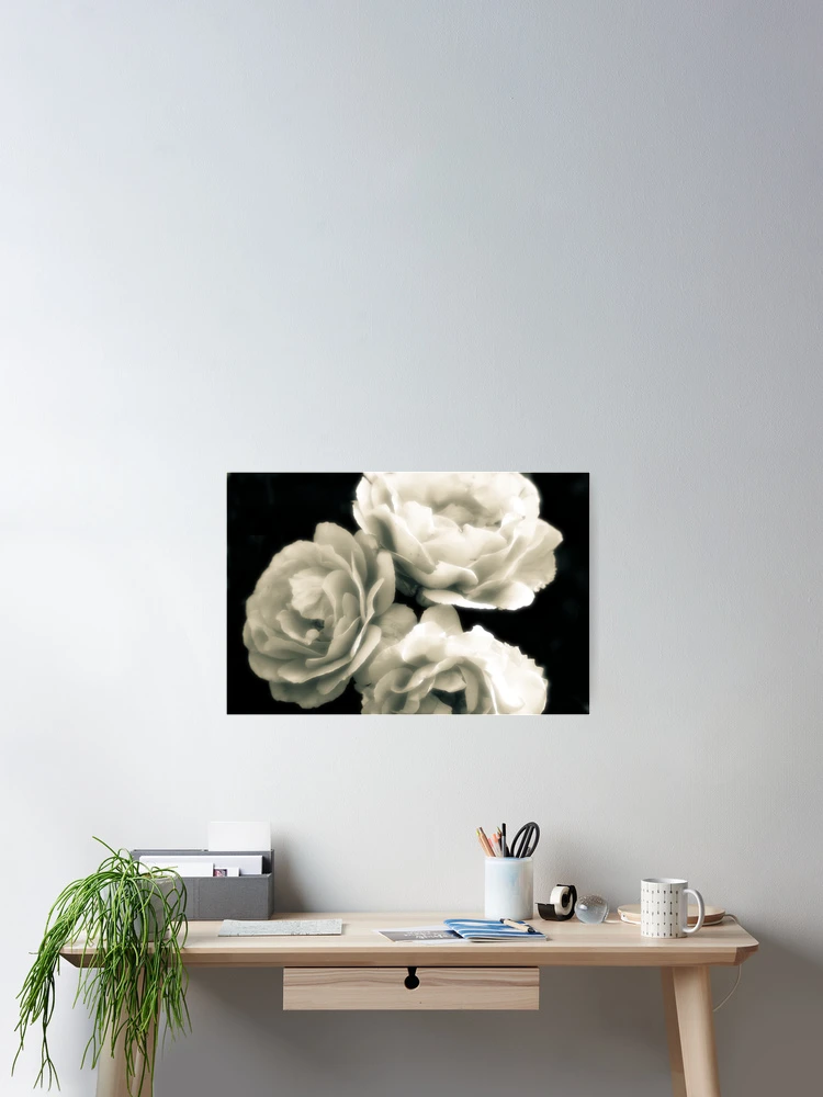 Thumbnail 2 of 3, Poster, Three Roses designed and sold by MLabuda.