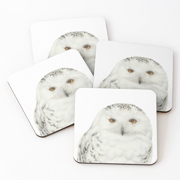 Item preview, Buho Nevado designed and sold by Grey Heron Images.