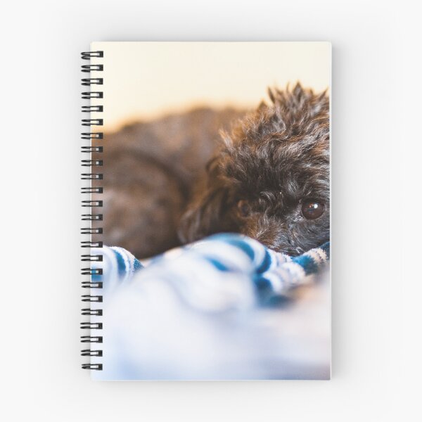 Item preview, Dog in a bed designed and sold by KensLensDesigns.
