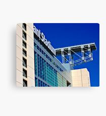 the Ant Stadium Canvas Print
