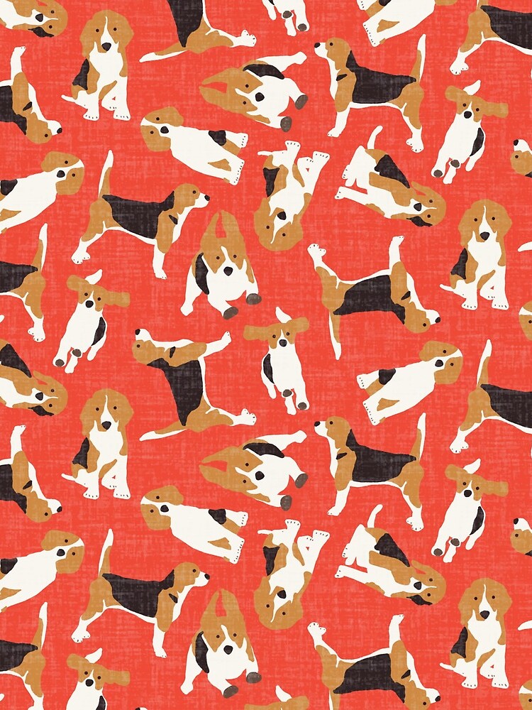 beagle scatter coral by scrummy
