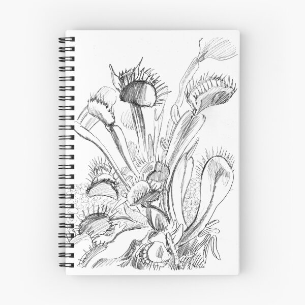 Item preview, Venus flytrap sketch designed and sold by sadnettles.