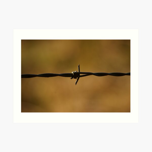 Barbed Art Print