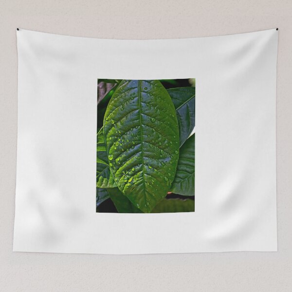 Item preview, Droplets designed and sold by John  Kapusta.