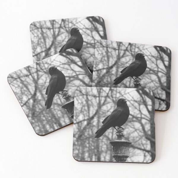 Item preview, Majestic Common Crow designed and sold by gothicrow.