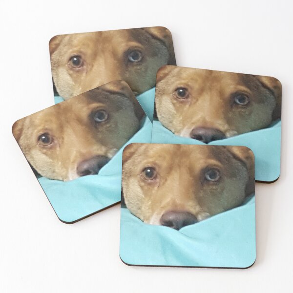 Item preview, Australian Shepherd Lab mix loves you. designed and sold by JRHarshman.
