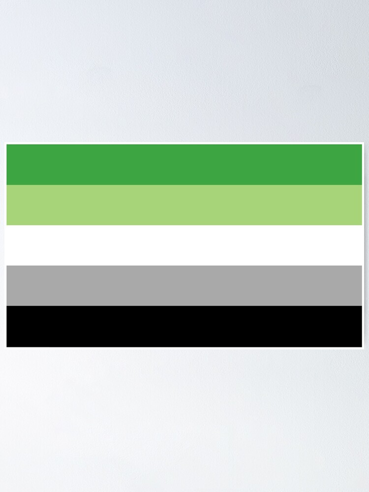 Aromantic Flag Poster By Hamsters Redbubble