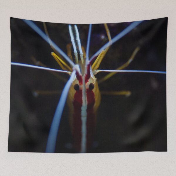 Item preview, Red and White Shrimp in Macro designed and sold by Chris Bingham.