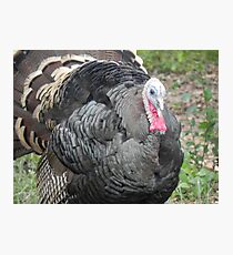 Giving Thanks Photographic Print