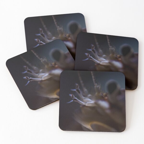 Item preview, Crab in Macro designed and sold by Chris Bingham.