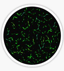 worms Sticker