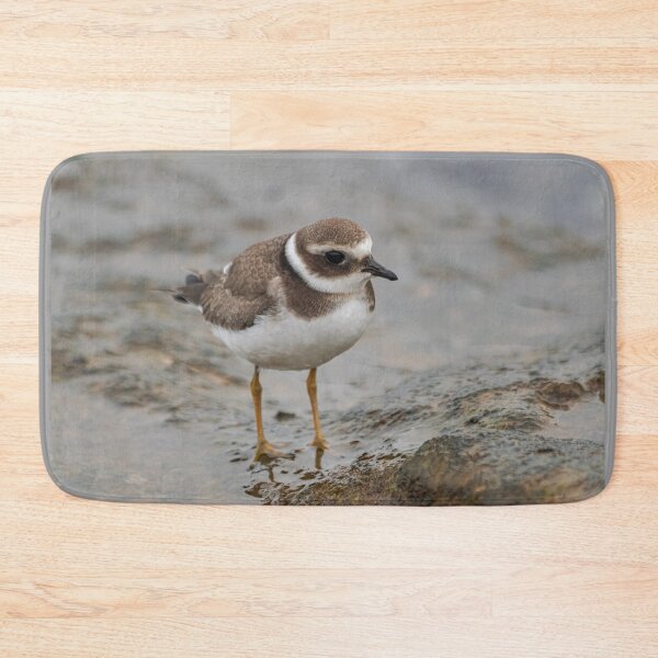 Item preview, little ringed plover, (Charadrius dubius curonicus) designed and sold by Martin Leber.