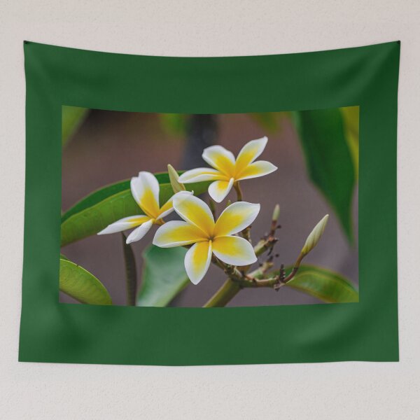 Item preview, Plumeria rubra flowers designed and sold by Martin Leber.