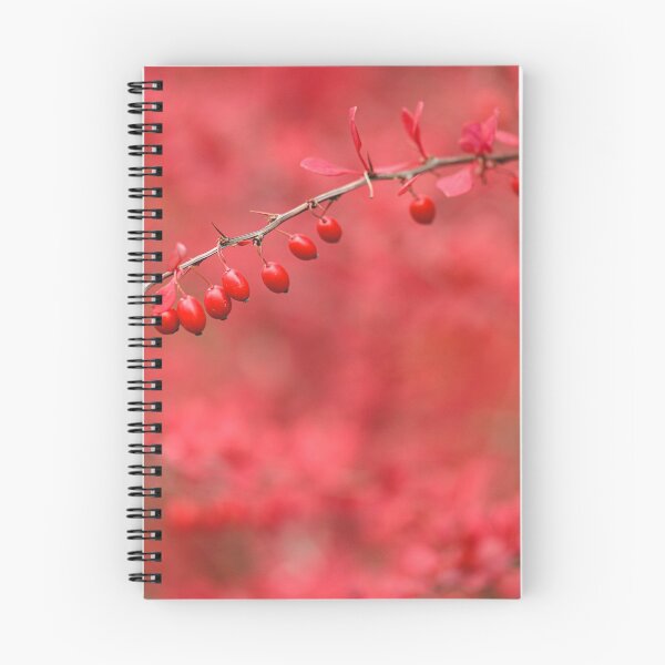 Item preview, Close-up of red barberry designed and sold by Juhku.