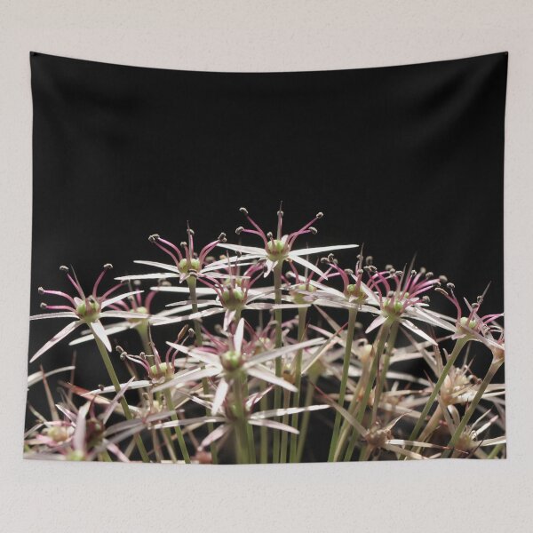 Item preview, Starring: Allium II designed and sold by cuprum.