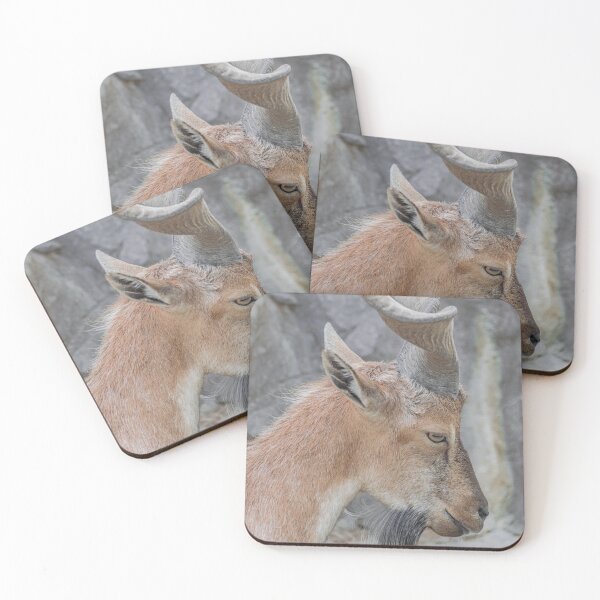 Item preview, Young male Markhor, (Capra falconeri) designed and sold by Martin Leber.