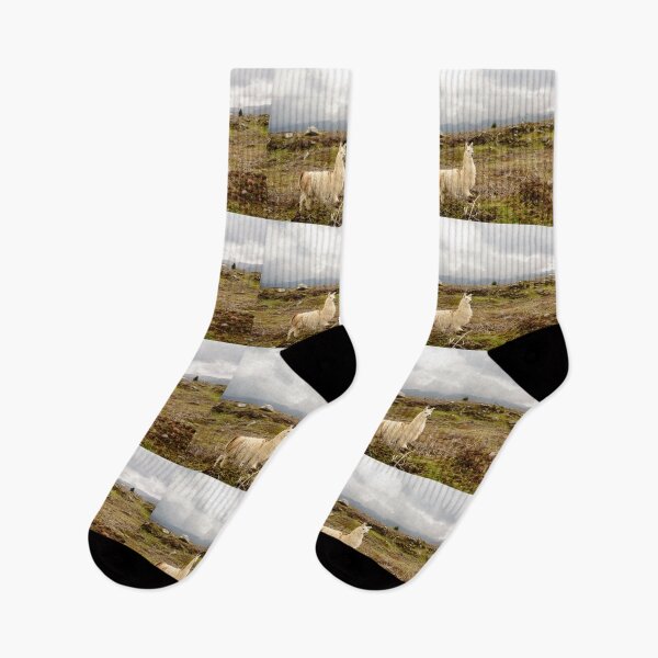 Item preview, Wild Ecuadorean Llama  designed and sold by raymona pooler.