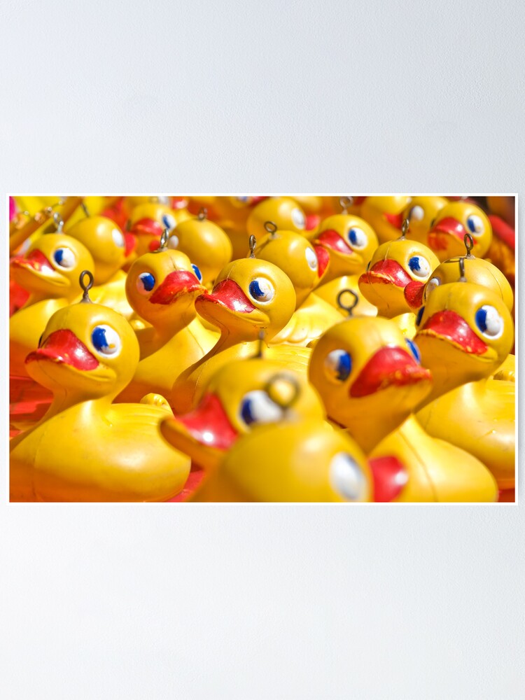 Rubber Ducky Youre The One Poster By Clearviewstock Redbubble