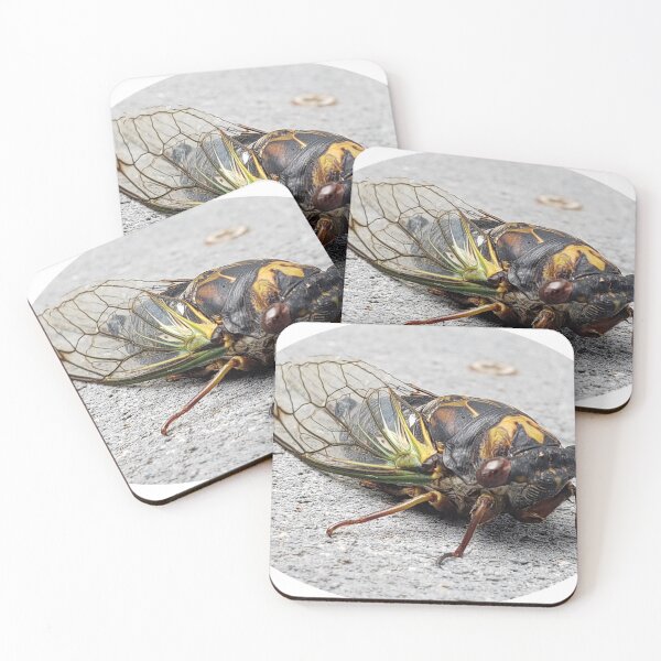 Item preview, Big bug designed and sold by Christine  Bialczak.
