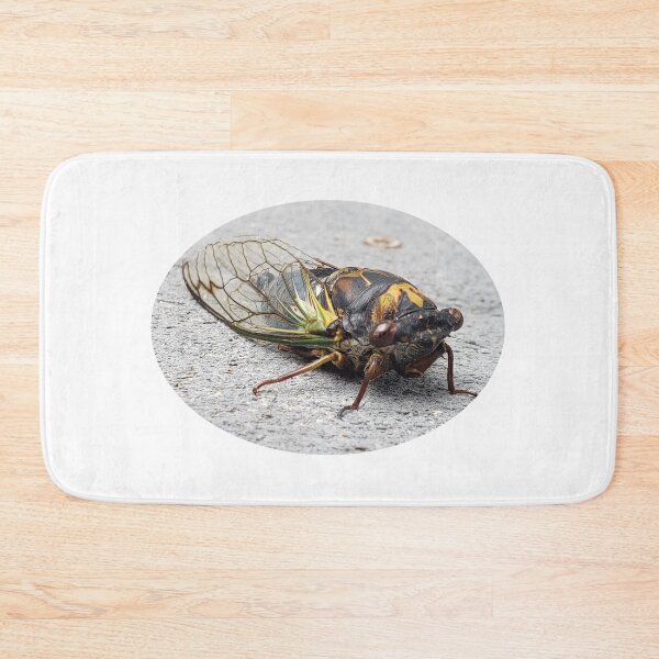 Item preview, Big bug designed and sold by Christine  Bialczak.