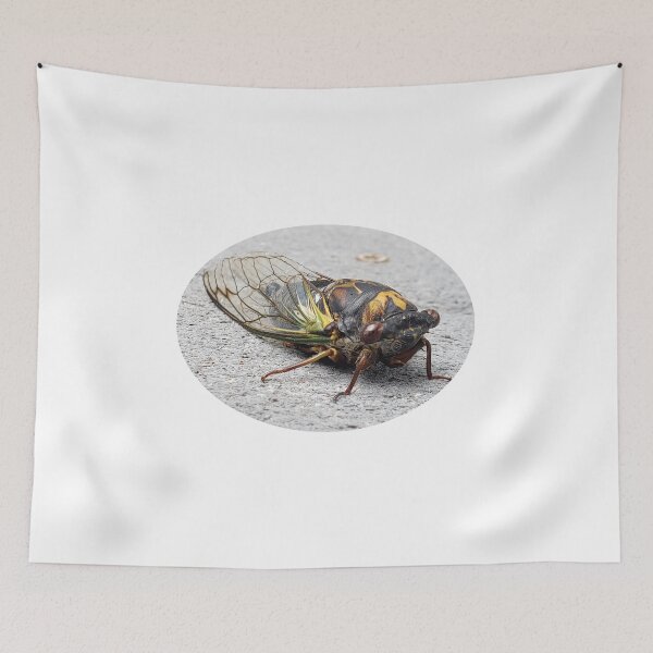 Item preview, Big bug designed and sold by Christine  Bialczak.