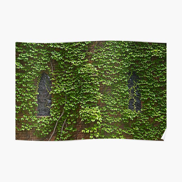 Lost Windows 2 - Gostwyck Chapel - Spring Poster