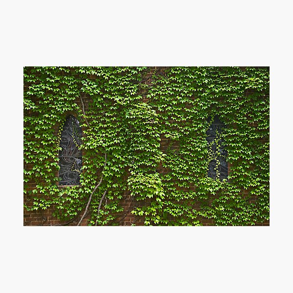 Lost Windows 2 - Gostwyck Chapel - Spring Photographic Print