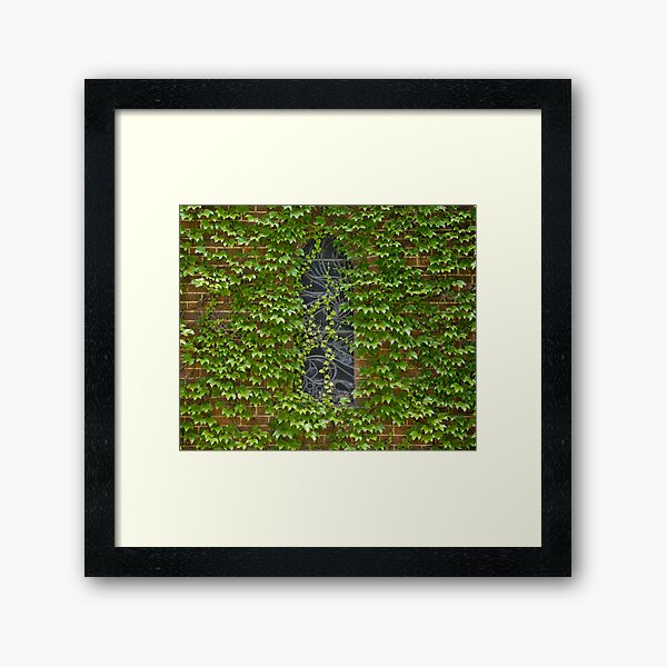 Lost Windows 1 - Gostwyck Chapel - Spring Framed Art Print