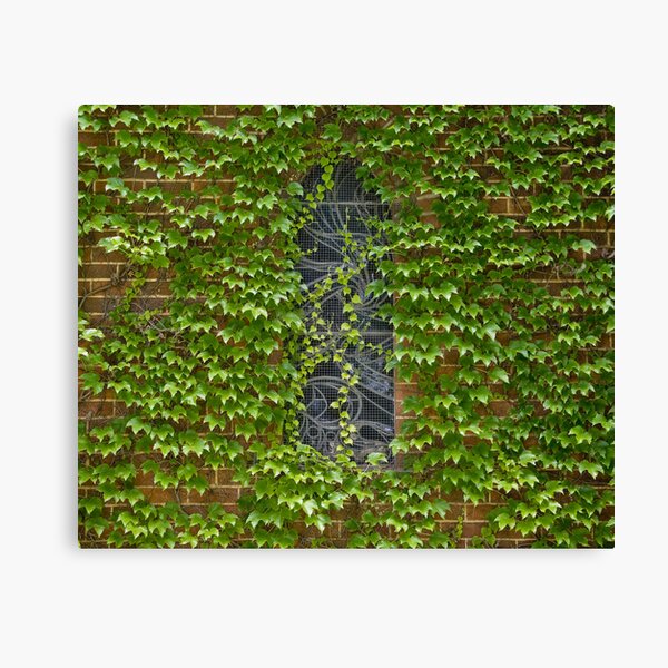 Lost Windows 1 - Gostwyck Chapel - Spring Canvas Print