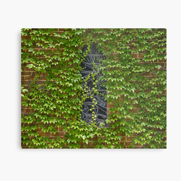 Lost Windows 1 - Gostwyck Chapel - Spring Metal Print