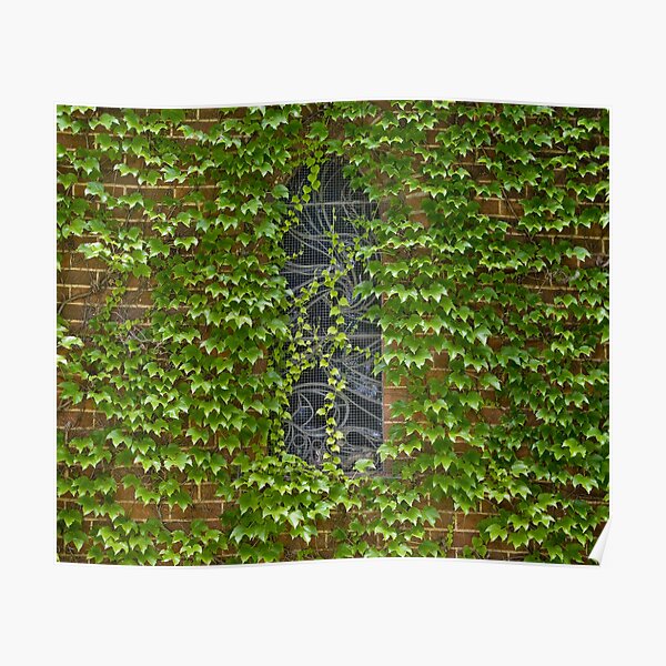 Lost Windows 1 - Gostwyck Chapel - Spring Poster