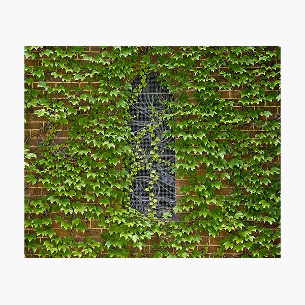 Lost Windows 1 - Gostwyck Chapel - Spring Photographic Print