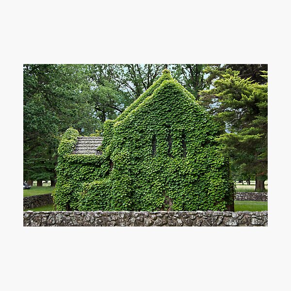 Gostwyck Chapel - Spring Photographic Print