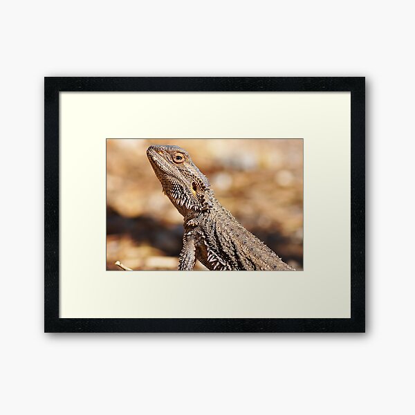 Item preview, Central Bearded Dragon - Side Profile designed and sold by clearviewstock.