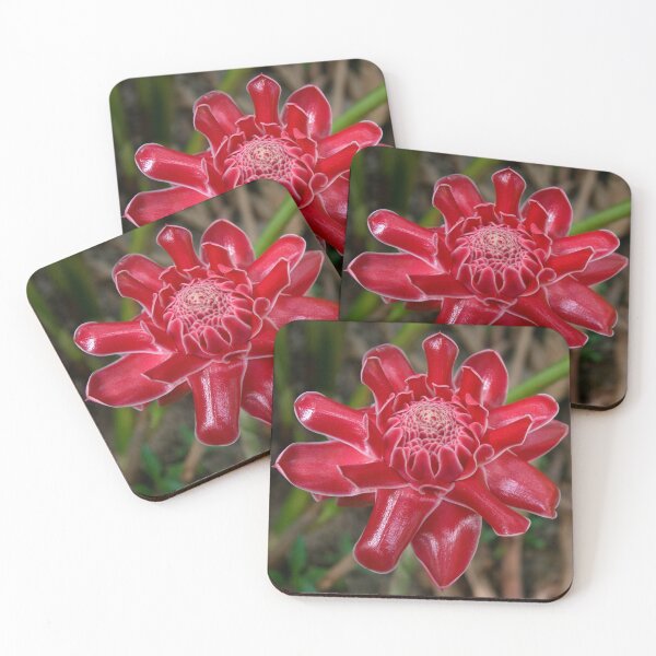 Item preview, White Tipped Red Torch Ginger designed and sold by Kerryn Madsen-Pietsch.