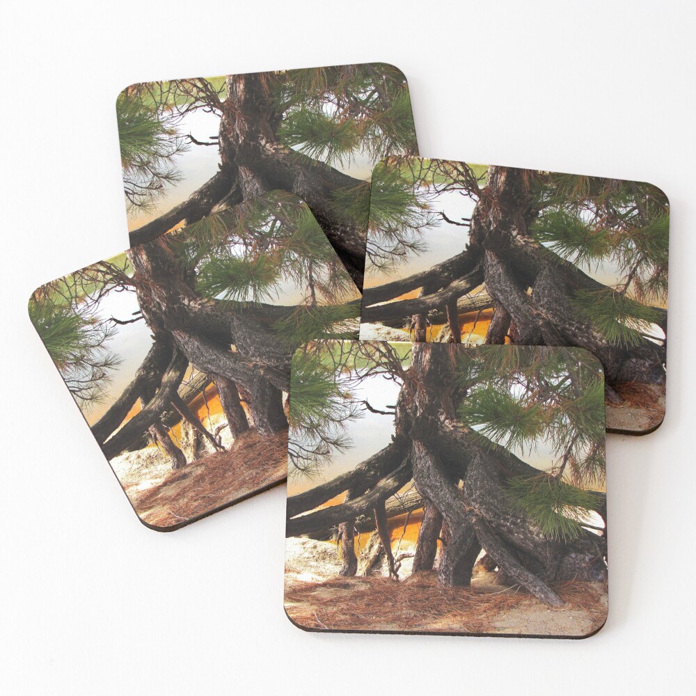 Item preview, Coasters (Set of 4) designed and sold by trueblvr.