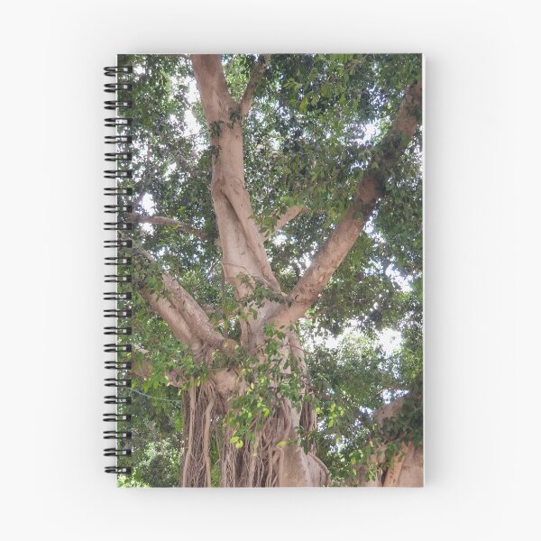 Item preview, Brown Green Tree Closup designed and sold by sigdesign.