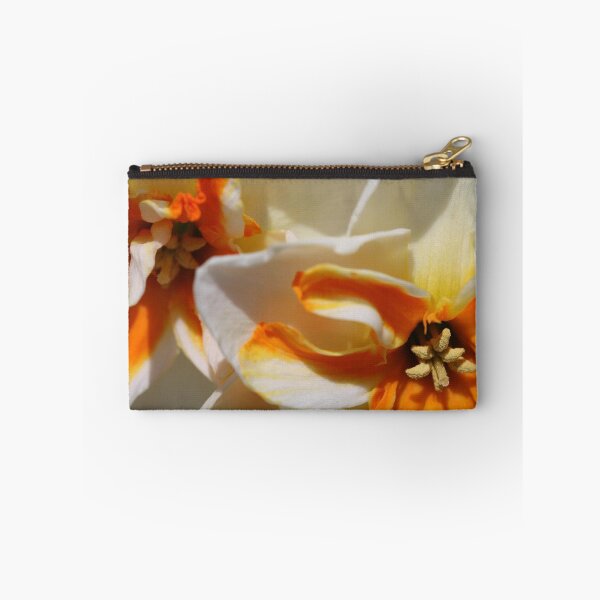 Item preview, Split-cupped Narcissus named Trepolo designed and sold by JMcCombie.