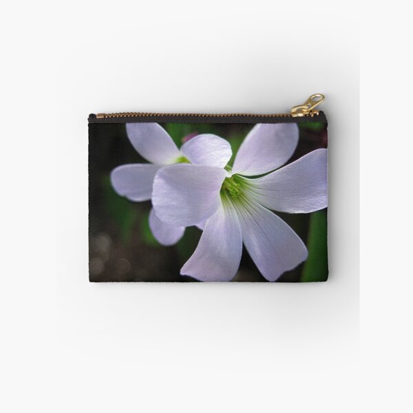 Item preview, Oxalis Triangularis or Burgundy Shamrock designed and sold by JMcCombie.