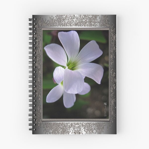 Item preview, Oxalis Triangularis or Burgundy Shamrock designed and sold by JMcCombie.