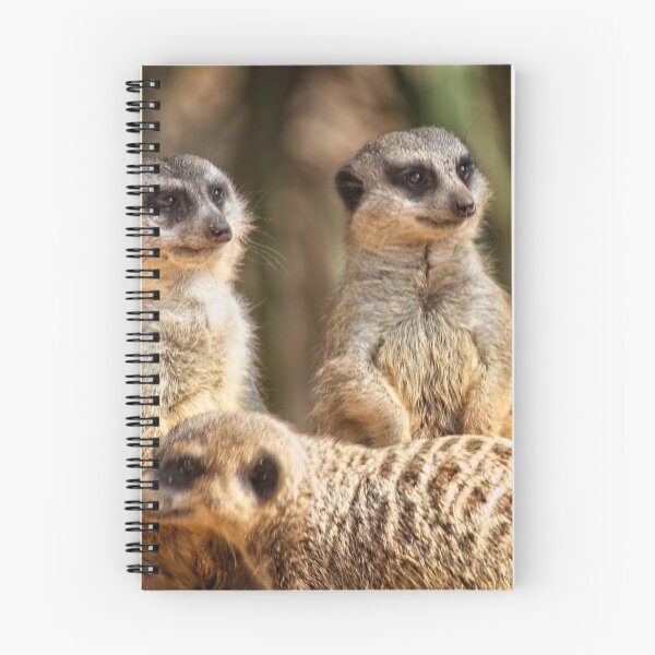 Item preview, Animal Portrait - Meerkat (1) designed and sold by Wolf Sverak Photography.