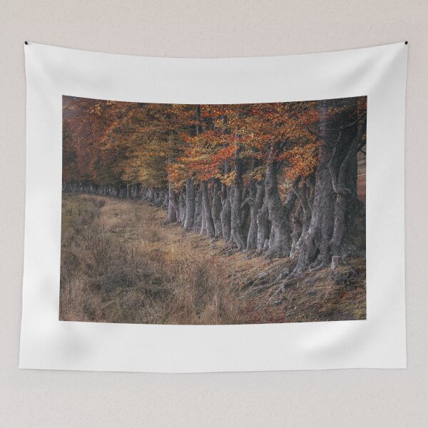 Item preview, 'By the Left, Quick March', autumnal beech trees, near Loch Rannoch. designed and sold by mucklepawprint.