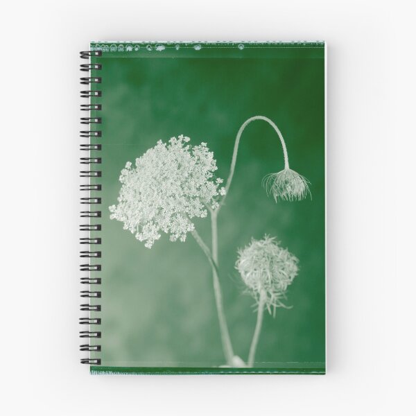 Item preview, Queen Ann's Lace #1 designed and sold by Micheal Reilly.