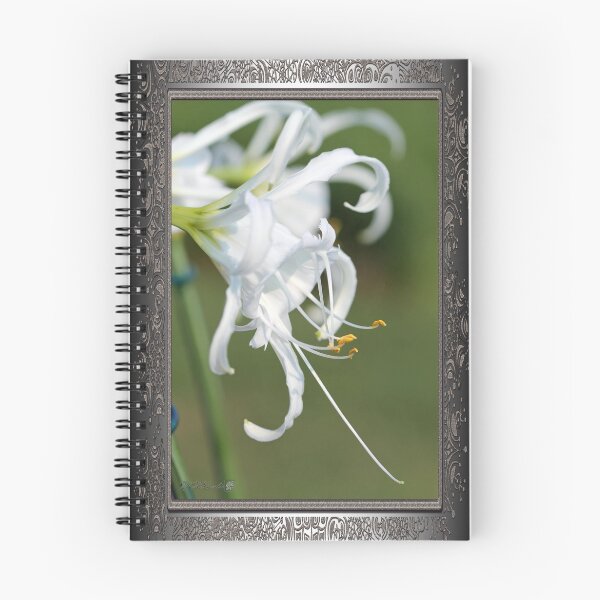 Item preview, Peruvian Daffodil named Advance designed and sold by JMcCombie.