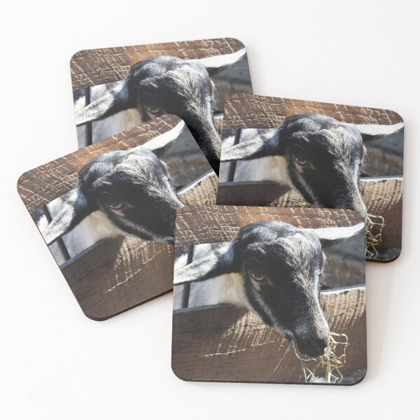 Item preview, Goat Eating Hay designed and sold by Mack-Conn.
